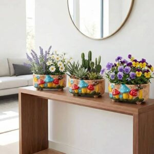 EnTarzHome 3'lü "Saf Beyaz" Mantar Serisi: Taş Tozu Sukulent Saksı Seti